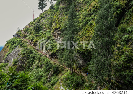 Forest trail to Taktshang Goemba 42682341