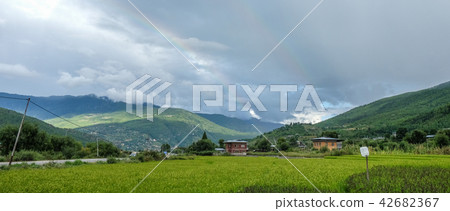 Paddy rice field in Bhutan Paddy rice field in Bhutan 42682367