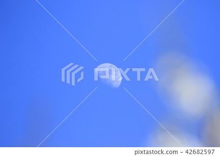 Day of the month Moon of the blue sky Before the blur Day of the month Moon of the blue sky Before the blur 42682597