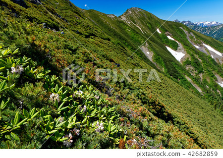 Ogigatake山脊線和Minami-gama山脈的Rakugadake山脊 Ogigatake山脊線和Minami-gama山脈的Rakugadake山脊 42682859