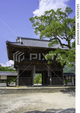 Shogun Kokubunji Shogun Kokubunji 42683291