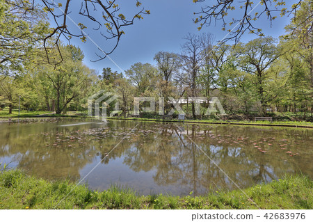 Campus college building of Hokkaido University 42683976