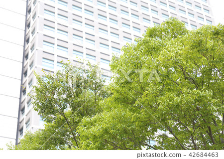 Prefectural government in Ibaraki prefecture 42684463