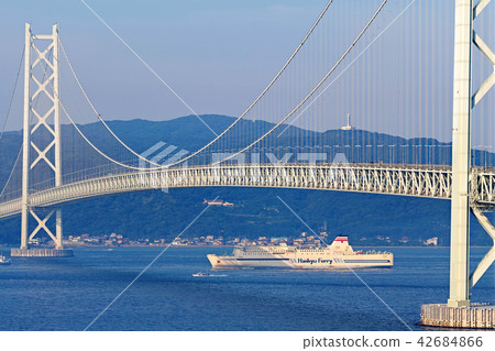 [Hyogo Prefecture/Tourist attraction] Akashi Kaikyo Bridge Large vessel passing image 42684866