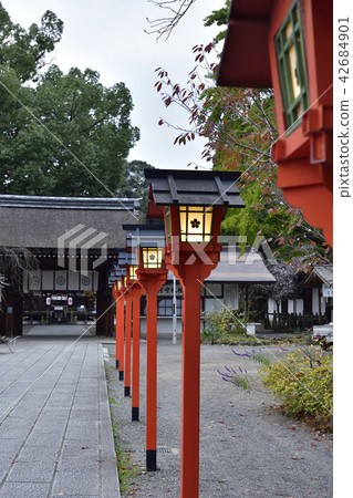 平野神社花門（Higashikamon）和春日燈籠 42684901