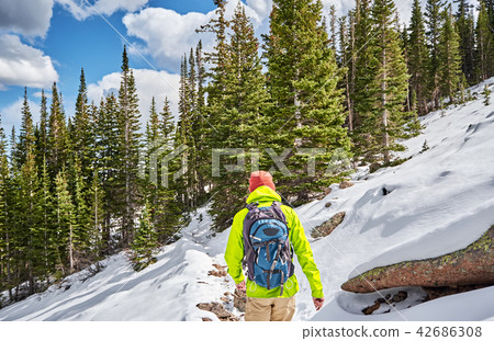 Tourist with backpack hiking on snowy trail Tourist with backpack hiking on snowy trail 42686308