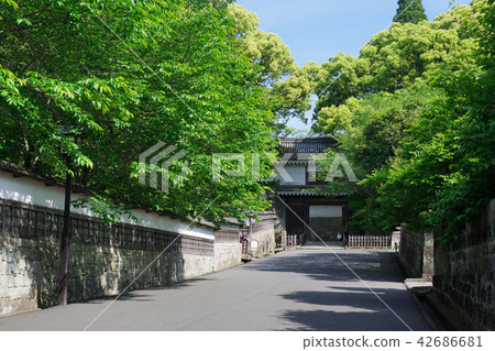 Shirogane Castle Otomon of fresh green 42686681