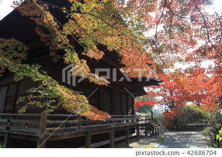 Tamiji Temple Autumn leaves 42686704