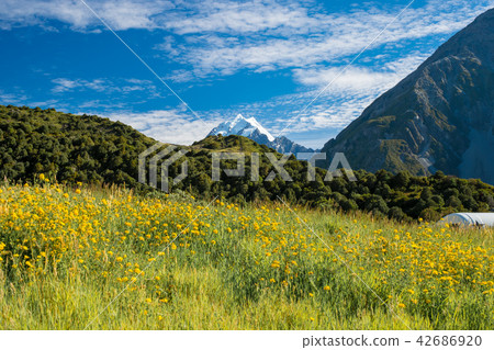 Hooker Valley Truck at Mount Cook National Park 42686920