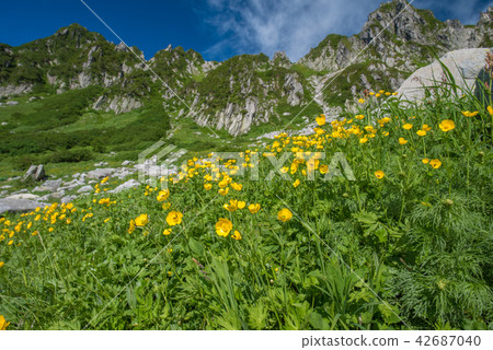 Komagatake Komagatake 42687040