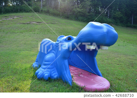 Hippopotamus Hippopotamus 42688710