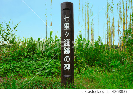 Shichike shi 42688851