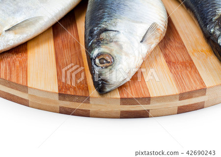 close up of fish head 42690243