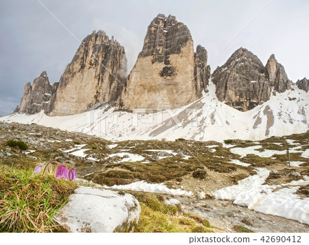 Spring panorama view to Three peaks - Tre Cime Spring panorama view to Three peaks - Tre Cime 42690412