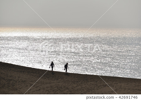 Sand dune wanderer 42691746