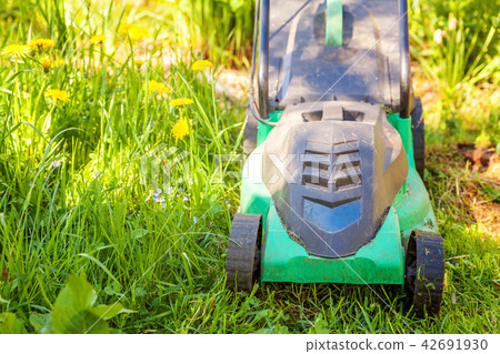 Lawn mower cutting green grass in backyard 42691930