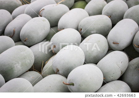 一堆冬瓜 一堆冬瓜 42693663
