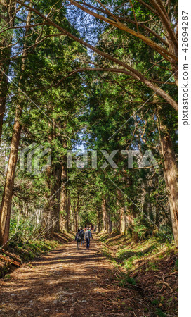 Landscape of the approach of the shrine of Togakushi Shrine Landscape of the approach of the shrine of Togakushi Shrine 42694287