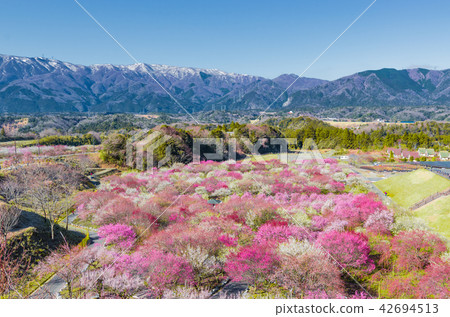 Inabe City Bairin Park 42694513