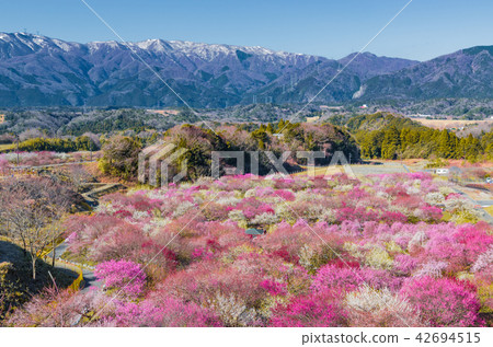 Inabe City Bairin Park 42694515