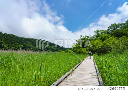 Tochigi Prefecture Nasushiobara Onuma Park Yoshi Ramblant (July) Tochigi Prefecture Nasushiobara Onuma Park Yoshi Ramblant (July) 42694755