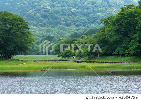 Tochigi prefecture Nasushiobara Onuma park Onuma (July) Tochigi prefecture Nasushiobara Onuma park Onuma (July) 42694759
