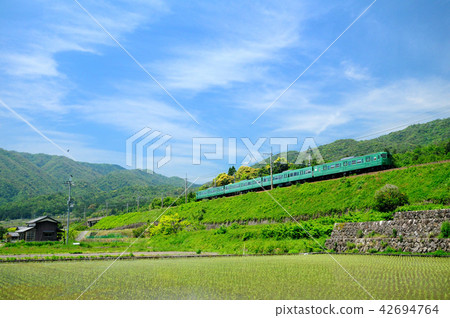 113 series train going on Kosan line 42694764