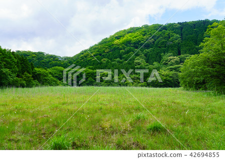 Yoshinuma Nasushiobara Tochigi Prefecture (July) Yoshinuma Nasushiobara Tochigi Prefecture (July) 42694855