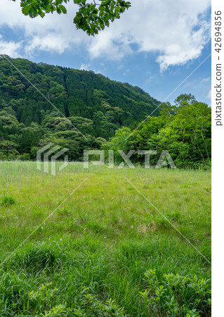 Yoshinuma Nasushiobara Tochigi Prefecture (July) Yoshinuma Nasushiobara Tochigi Prefecture (July) 42694856