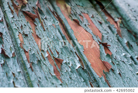 Vintage wooden background with peeling paint 42695002