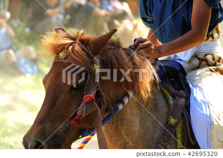 Summer Hachinohe City Kagami style cavalry striker 42695320