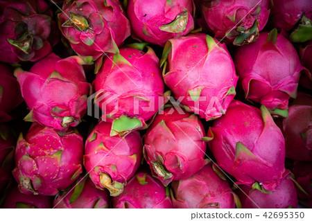 Dragon fruit background. 42695350