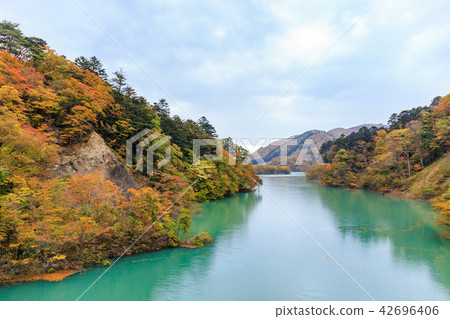 Autumn leaves of the Nasushiobara Shiobara Valley (Tokugawa gorge) in Tochigi Prefecture (November) 42696406