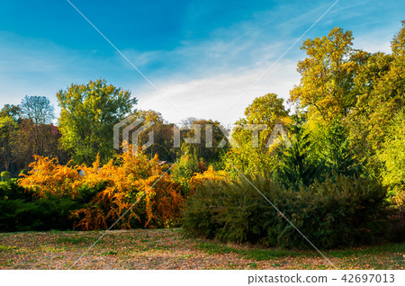 city park in deep autumn city park in deep autumn 42697013