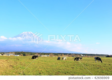 晨霧窗口 晨霧窗口 42698909