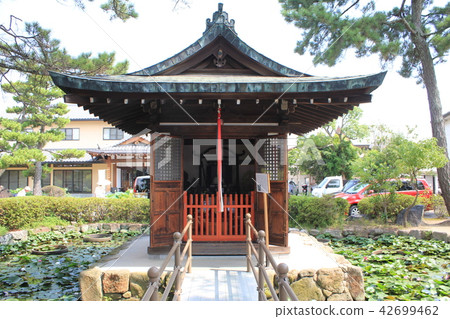 Kikoji Bentendo and lotus 42699462