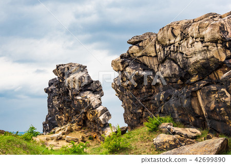 Landscape with trees in the Harz area, Germany 42699890