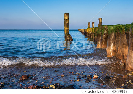 Baltic Sea coast in Graal Mueritz, Germany 42699953