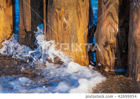 Baltic Sea coast in Graal Mueritz, Germany Baltic Sea coast in Graal Mueritz, Germany 42699954