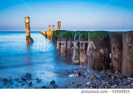 Baltic Sea coast in Graal Mueritz, Germany Baltic Sea coast in Graal Mueritz, Germany 42699955
