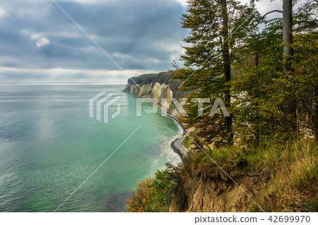 Baltic Sea coast on the island Ruegen, Germany 42699970