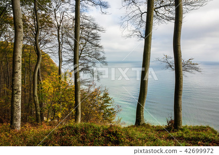 Baltic Sea coast on the island Ruegen, Germany Baltic Sea coast on the island Ruegen, Germany 42699972