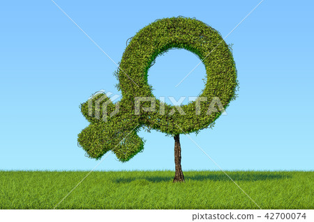 Tree shaped as female gender symbol 42700074