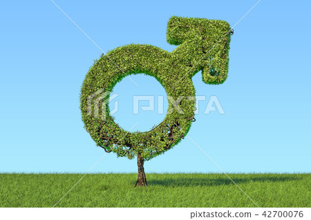 Tree shaped as male gender symbol 42700076