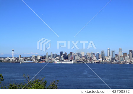 Seattle landscape 42700882