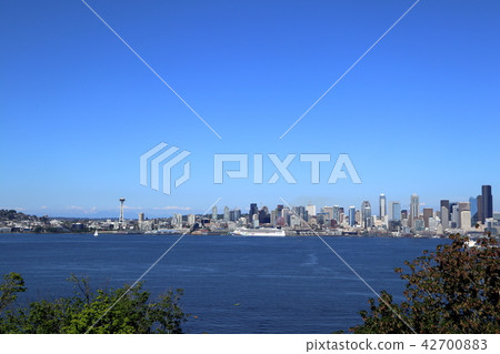 Seattle landscape Seattle landscape 42700883