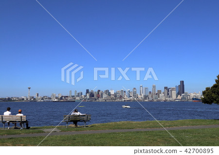 Seattle landscape 42700895