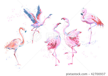 Set of 5 vector watercolor imitation style sketchy flamingos isolated on white. Vector illustration Set of 5 vector watercolor imitation style sketchy flamingos isolated on white. Vector illustration 42700937