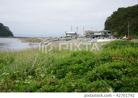 Aomori's journey Summer Peninsula Aomori's journey Summer Peninsula 42701792