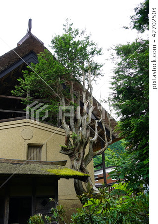 National Important Cultural Property (Former Nakamura House) National Important Cultural Property (Former Nakamura House) 42702503